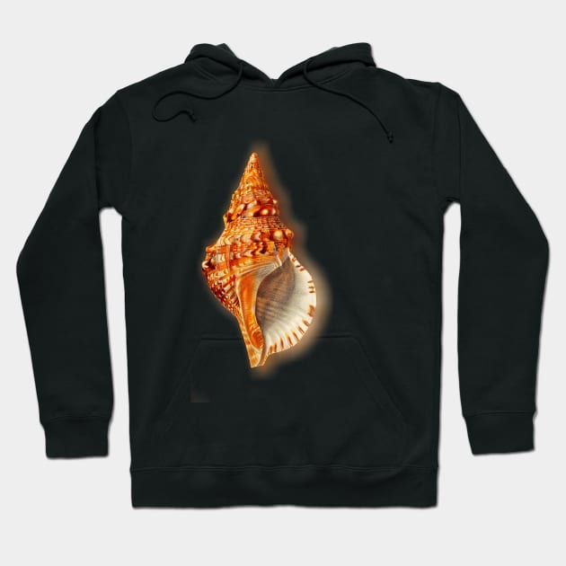 Conch Hoodie by Marccelus